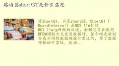 shortgi,·short GTʲô˼