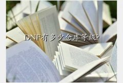 dnfֿ۸