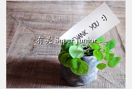 й Super Junior